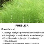 Preslica – Prirodni izvor zdravlja za kosti, kožu, bubrege i rane