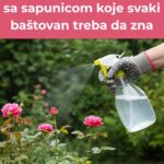 Tajne iskusnih vrtlara – Otkrivamo vam trikove sa sapunicom koje svaki baštovan treba da zna