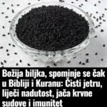 Božija biljka, spominje se čak u Bibliji i Kuranu: Čisti jetru, liječi nadutost, jača krvne sudove i imunitet