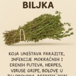 Najmoćniji prirodni lijek za parazite, urinarne infekcije, herpes i gripu: ulje origana