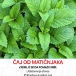 Čaj od MATIČNJAKA – Ako se pripremi pravilno može biti od velike koristi