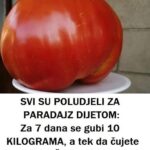 SVI SU P0LUDJELI ZA PARADAJZ DIJET0M: Za SEDAM DANA se gubi 1O KIL0GRAMA, a tek da čujete K0LIK0 MRŠAVITE ZA TRI DANA