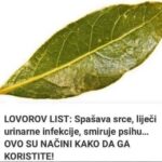 LOVOROV LIST: Spašava srce, liječi urinarne infekcije, smiruje psihu! OVO SU NAČINI KAKO DA GA KORISTITE…