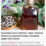 Pomešajte koren GAVEZA i rakiju: Dobićete tinkturu za oporavak kostiju, smanjenje upala i boli u kičmi