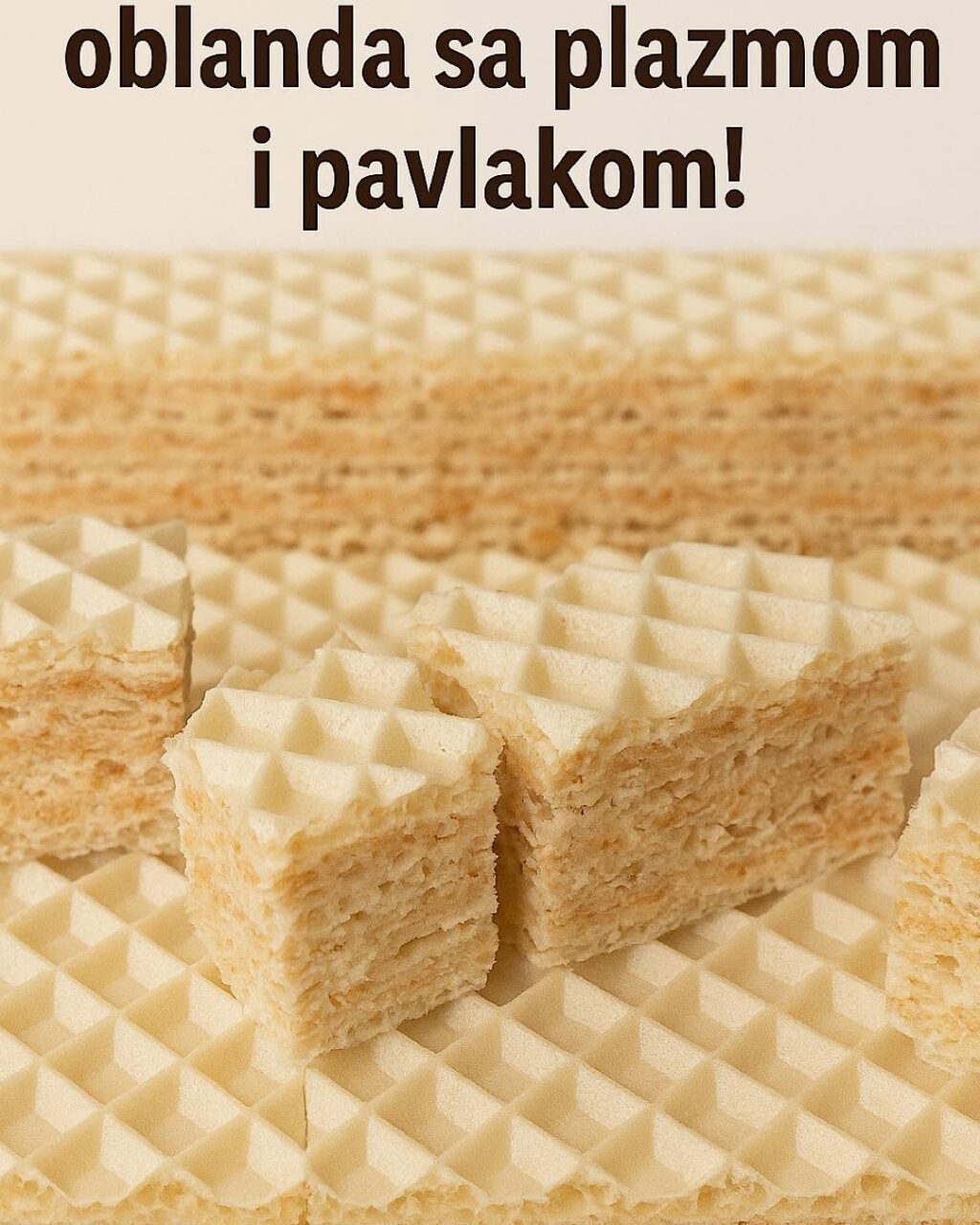 522627357_1050874073859286_5894179614907659963_n