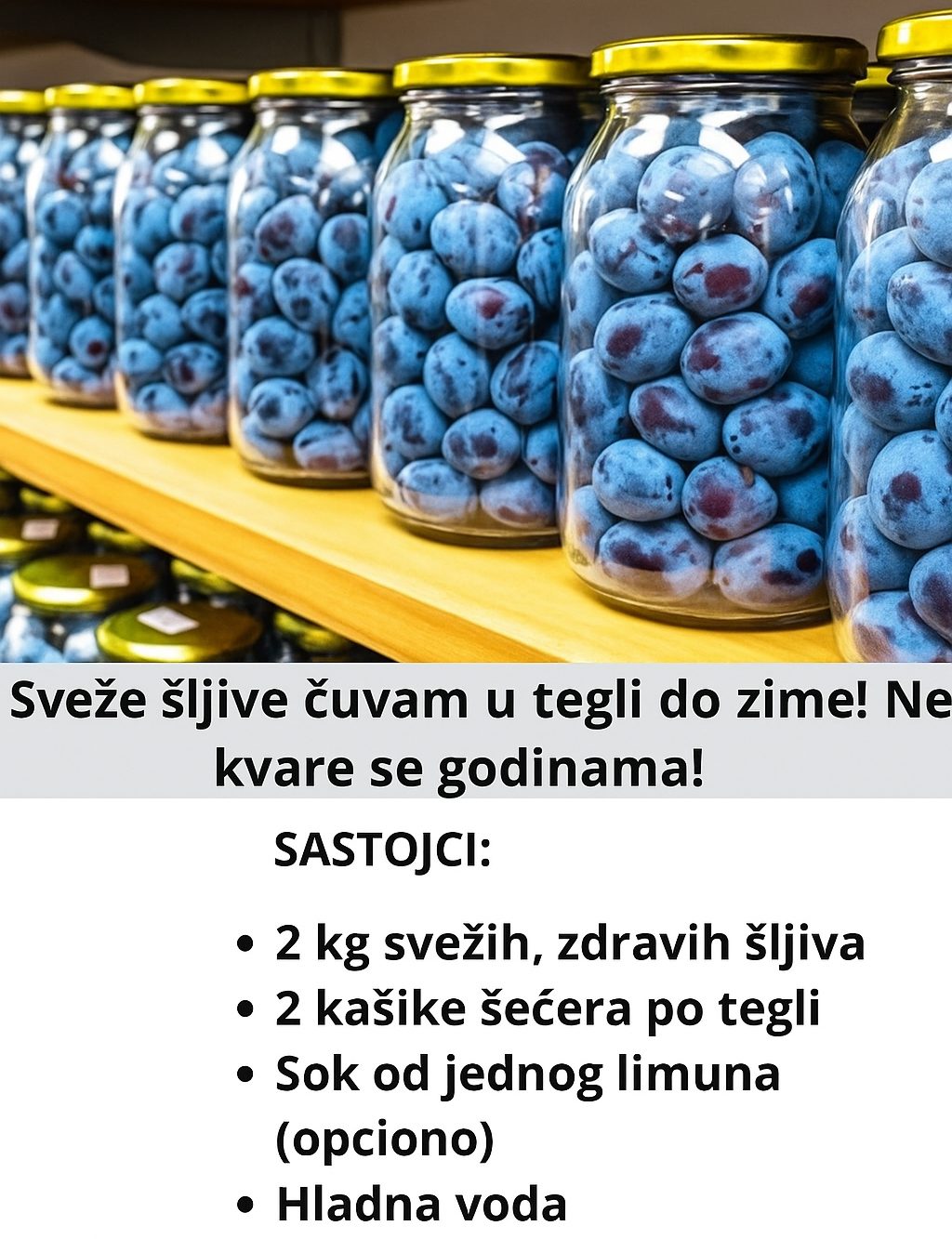 524753681_122151779204763532_4621370344307507734_n