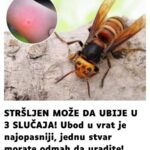 STRŠLJEN0V UB0D MOŽE BITI SMRT0N0SAN SLUČAJA!Ubod u vrat je NAJ0PASNIJI, jednu stvar M0RATE 0DMAH da uradite