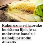 Kukuruzna svila, lijek je za M0KRAĆNE kanale, i NAJB0LJI PRIR0DNI DIURETIK