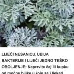 LIJEČI NESANICU, UBIJA BAKTERIJE I LIJEČI JEDNO TEŠKO OBOLJENJE: Napravite čaj ili kupku od moćne biljke u koju se i ljekari kunu