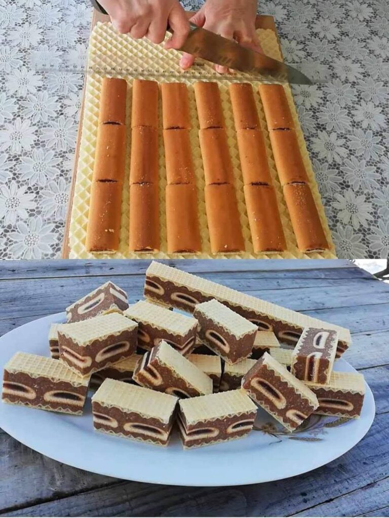 508342406_23981808374785579_577558259497710537_n