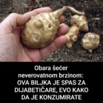 Ova biljka je spas za dijabetičare, idelana za mršavljenje i dobru probavu: Zaboravite na inzulin, izgladnjivanje i brojne dijete