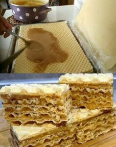 539258133_24545549958411415_6282122579522021279_n