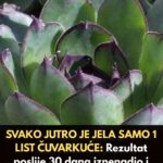 SVAKO JUTRO JE JELA SAMO 1 LIST ČUVARKUĆE: Rezultat poslije 30 dana iznenadio i ljekare