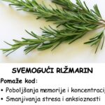 Svemogući ružmarin – Koristite ga ovako i otklonite sve vaše probleme koje imate