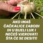 AKO IMAŠ ČAČKALICE ZABODI IH U BIJELI LUK I NEĆEŠ VJEROVATI ŠTA ĆE SE DESITI!