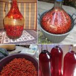 JEDAN 0D NAJM0ĆNIJIH NAPITAKA – Evo KAK0 da pripremite vino 0D šipka