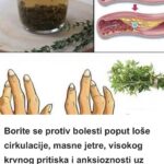 Borite se protiv bolesti poput loše cirkulacije, masne jetre, visokog krvnog pritiska i anksioznosti uz pomoć ove biljke