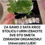 ZA SAMO 2 SATA KROZ STOLICU I URIN IZBACITE SVE STO SMETA ZDRAVOM ORGANIZMU! Univerzalni LEK!