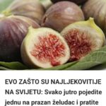 Smokve su čudo prirode – Evo šta će se desiti sa vašim tijelom, ako budete jeli samo jednu dnevno!