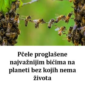548227775_1376126707407375_5635668855977553265_n