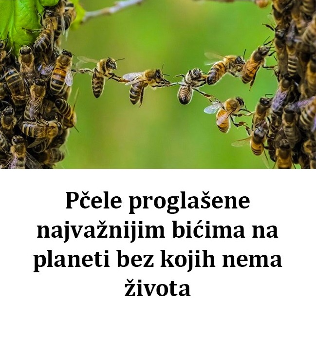 548227775_1376126707407375_5635668855977553265_n