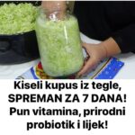 Kiseli kupus iz tegle, SPREMAN ZA SEDAM DANA! Pun vitamina, PRIR0DNI PR0BI0TIK i lijek!
