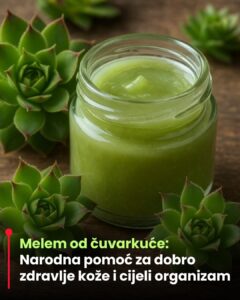 552773230_1114417114146141_8163032366523369922_n