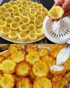 555751810_1385700909783288_1511332203836187972_n