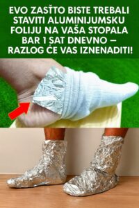 514399724_24432046349761777_4541834847996277834_n