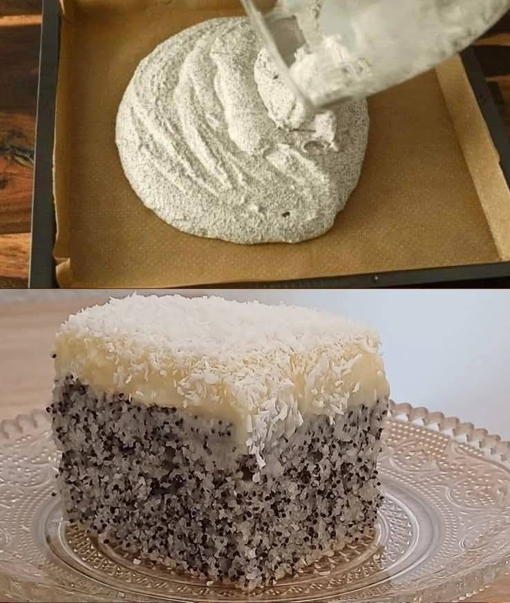 539206455_10228810128468249_7987607547976811184_n