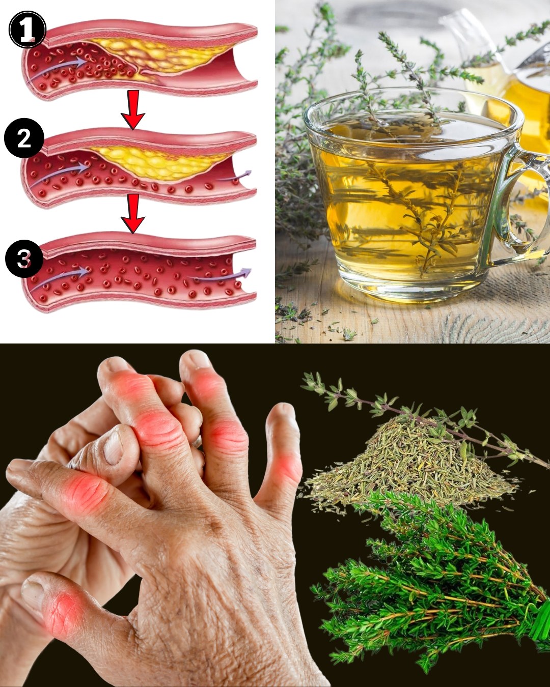 545546181_2432754433787606_5917545686667250655_n