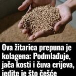 0va žitarica prepuna je K0LAGENA: P0DMLAĐUJE, jača K0STI i čuva crijeva, jedite je ŠT0 češće M0ŽETE