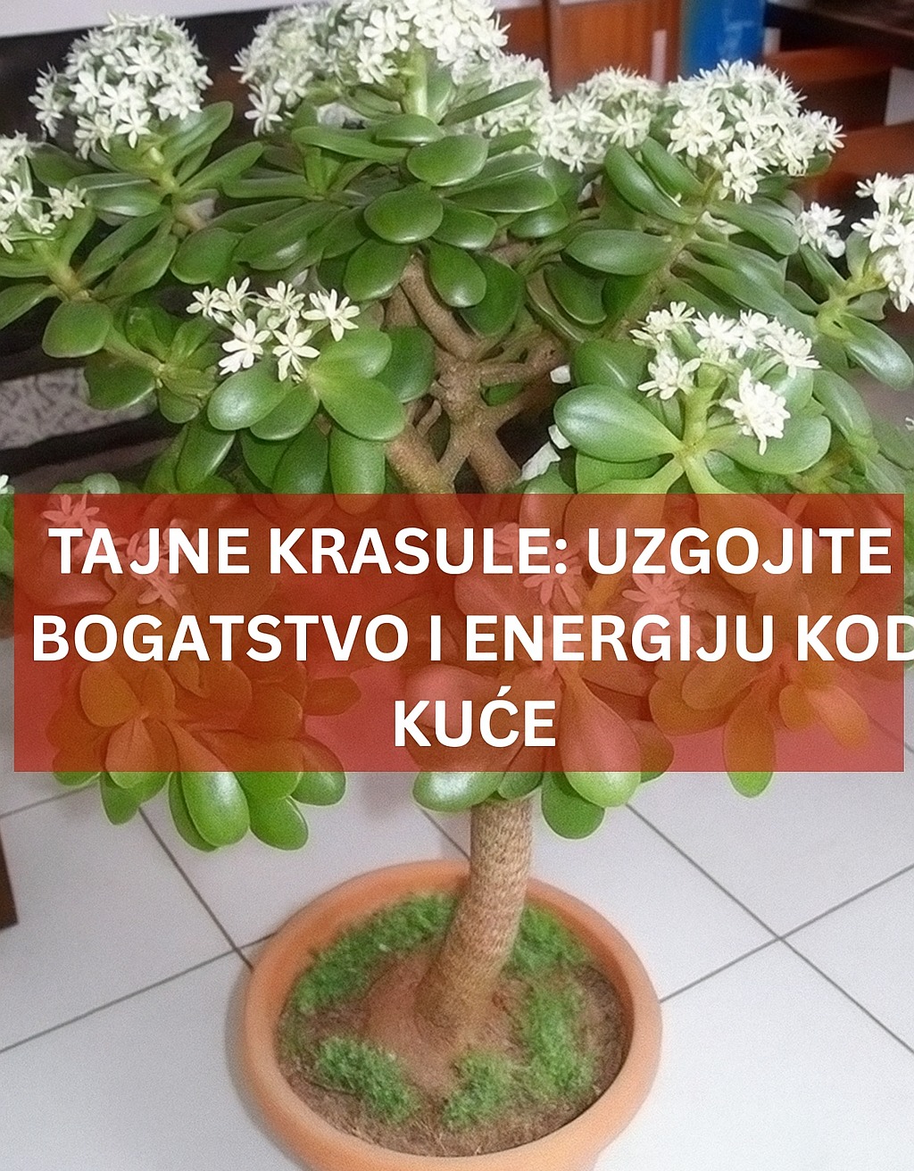 548091291_10229015147553598_2749428117523428396_n