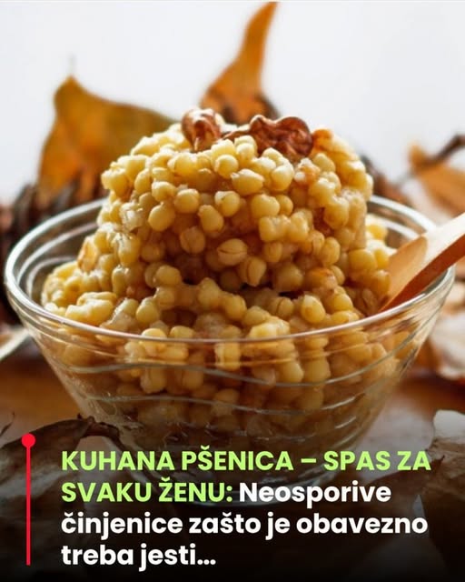 549033358_2443048672758182_582842837892767064_n