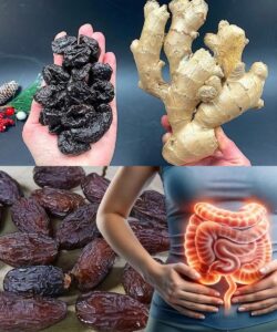 549286974_2440209439708772_2092699282688901629_n