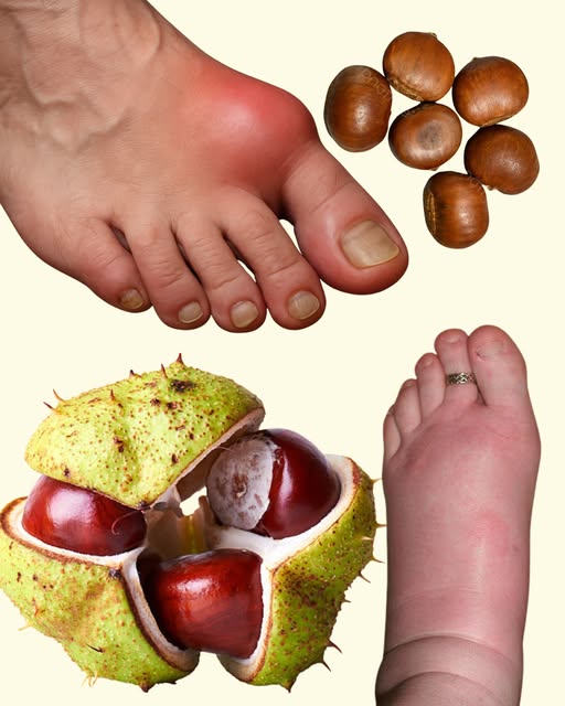 552431774_1371475514336021_5897382514147820783_n