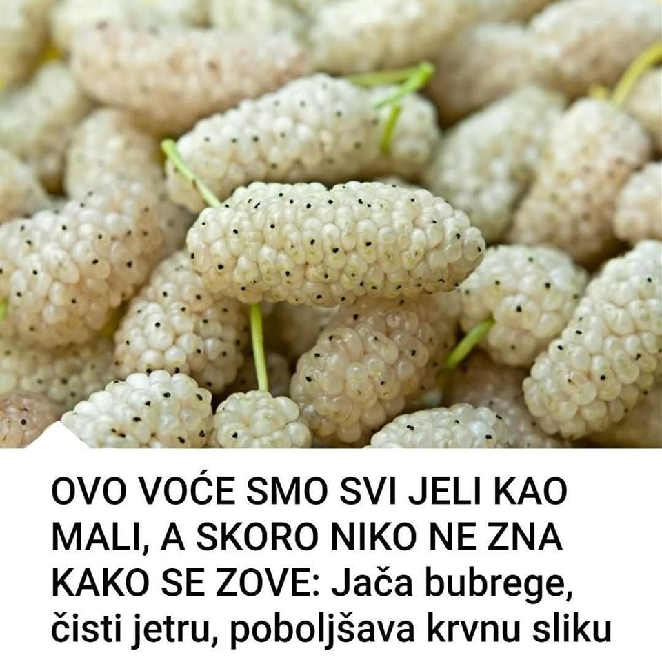 555413257_122237758148339479_7960970728697145199_n