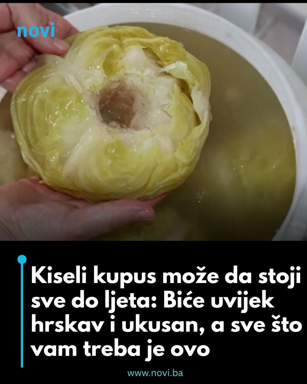 556109407_3259388314237627_2053199632790482330_n