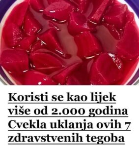 557485454_122167985540435682_518140479720033446_n