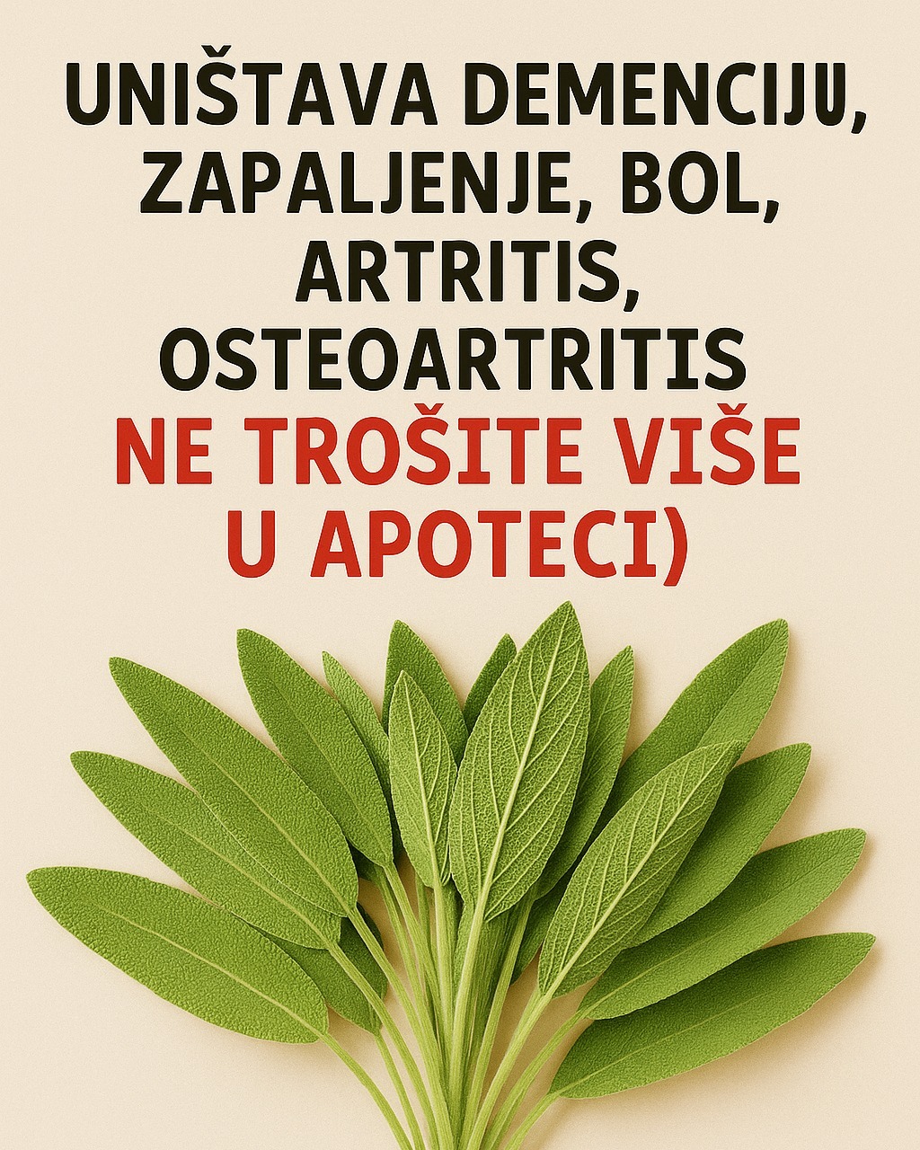 558865239_1396976885322357_6442036638568140771_n