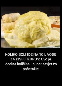 565657115_122304645806173591_8850535081382990667_n