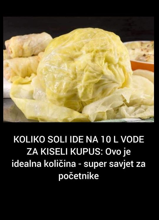 565657115_122304645806173591_8850535081382990667_n