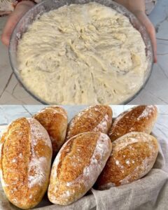 572279756_1396245665401144_490759290631191237_n