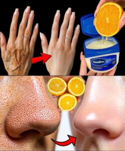 572429419_1132487349039866_7097485246129027031_n