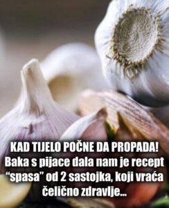 574317368_1412863020400410_799944240339510670_n