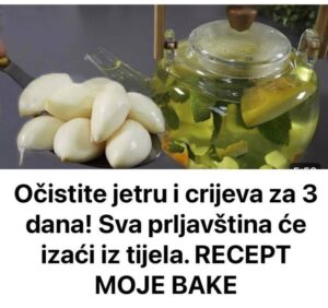 502496726_10227570781645353_2019968198407937346_n