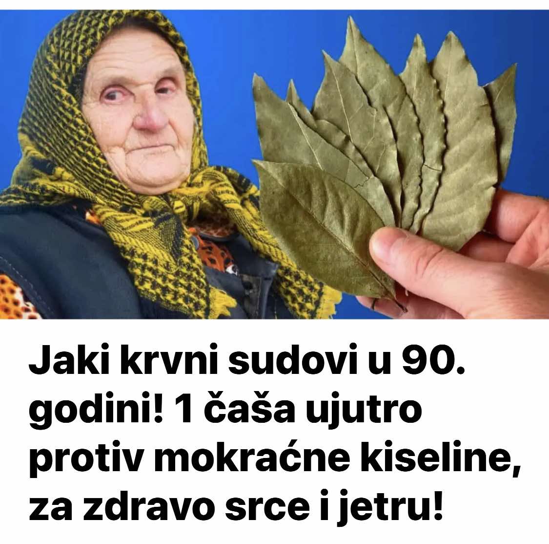 508224134_10227713198125676_4240309698137209708_n