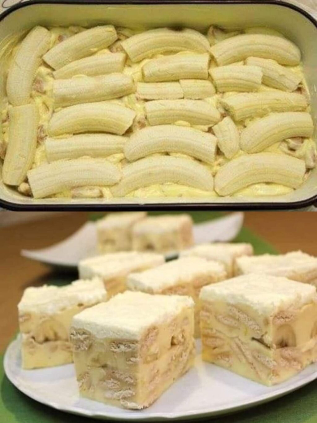 517017126_10228339242576396_5621824302503279596_n