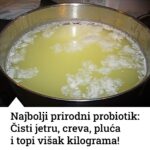NAJBOLJI PRIRODNI PROBIOTIK:Čisti jetru,creva,pluća i topi višak kilograma!