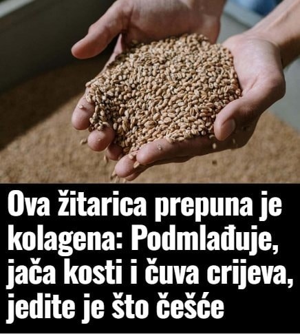 547956056_10229025197524841_4143537369236695668_n